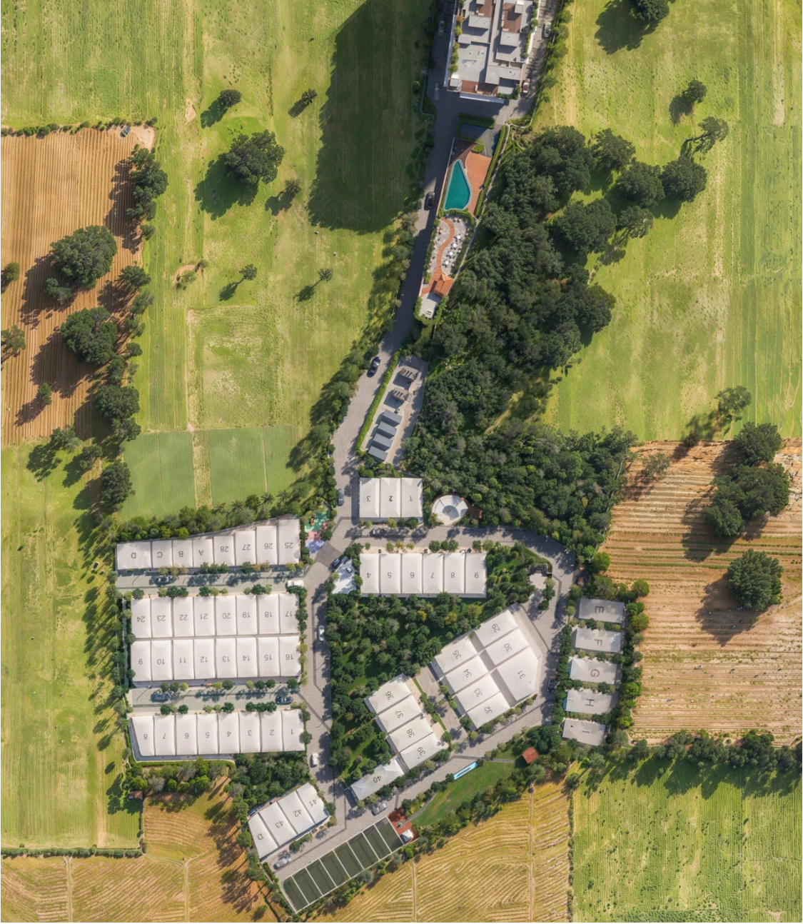 Project Hero Background